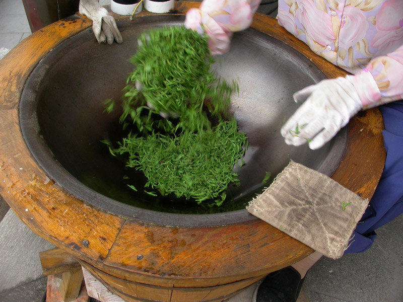 heated iron wok to manually dry and shape green tea leaves heated iron wok to manually dry and shape green tea leaves