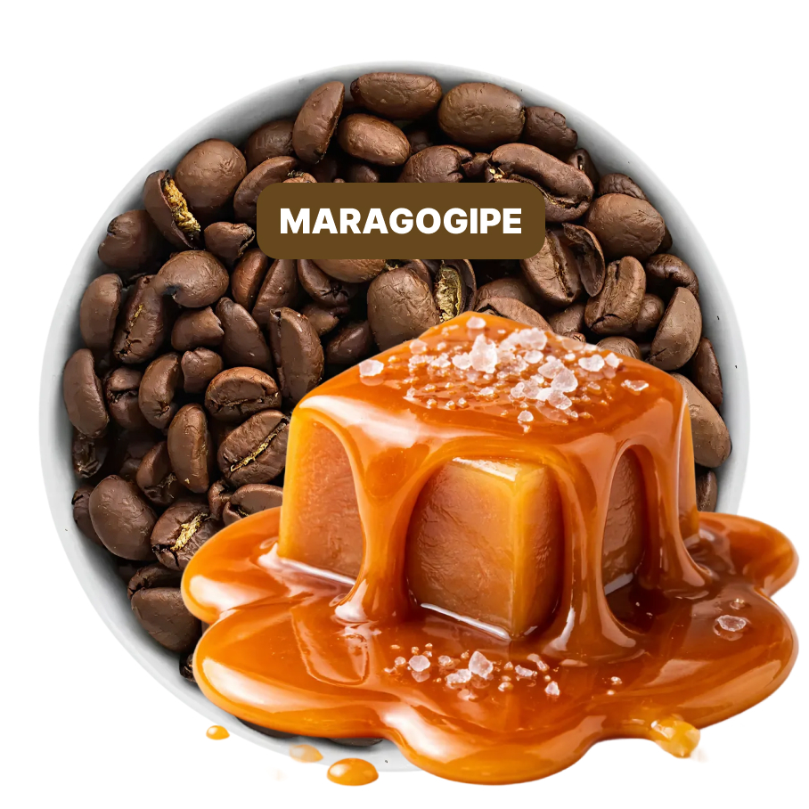 Caramel Maragogipe Flavored Coffee Caramel Maragogipe Flavored Coffee