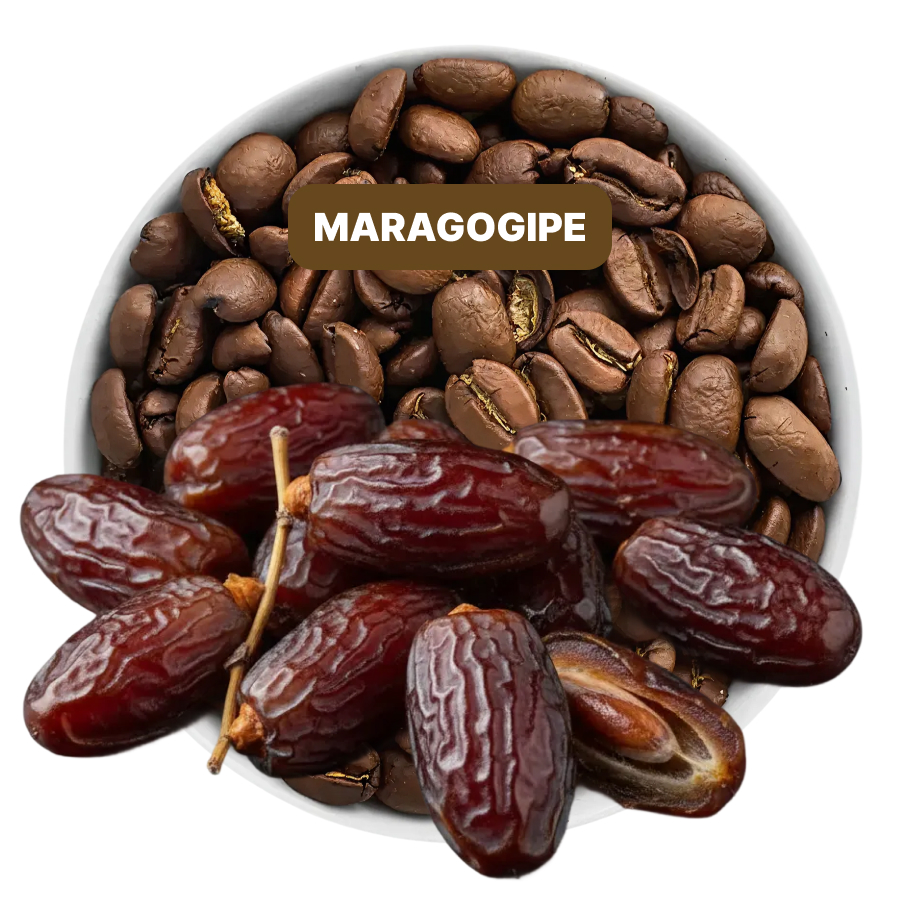 Date Maragogype Flavored Coffee Date Maragogype Flavored Coffee