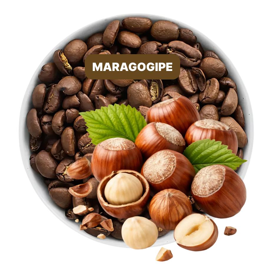 Hazelnut Maragogipe Flavored Coffee Hazelnut Maragogipe Flavored Coffee